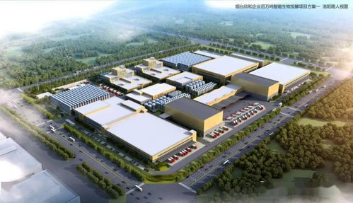 万亿产业投资蓝图，6大项目集中开工助力区域经济腾飞