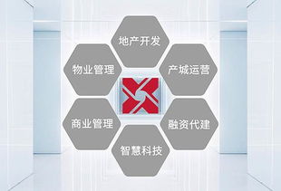 主辅业互相赋能 鑫苑战略转型渐入佳境